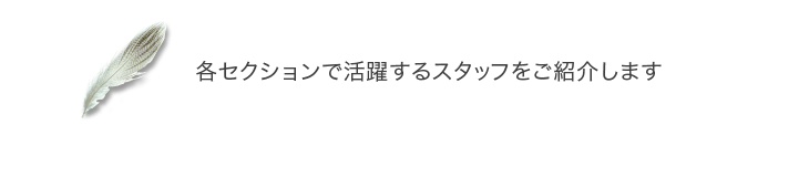各セクションで活躍するスタッフをご紹介します