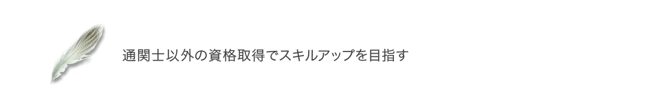 通関士以外の資格取得でスキルアップを目指す